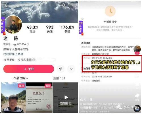 老陈最新爆料消息今天视频,今日视频揭秘惊人内幕