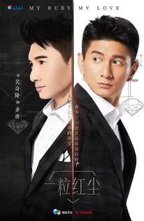 电视剧一粒红尘在线观看,红尘纷扰，爱恨情仇的都市传奇